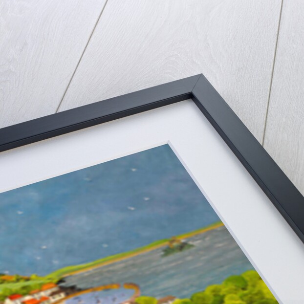 Allotment above Mousehole, 2013 by Judy Joel