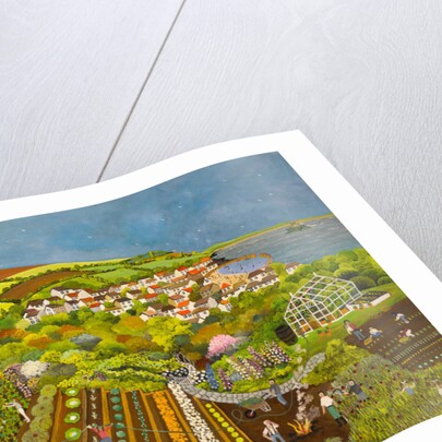 Allotment above Mousehole, 2013 by Judy Joel