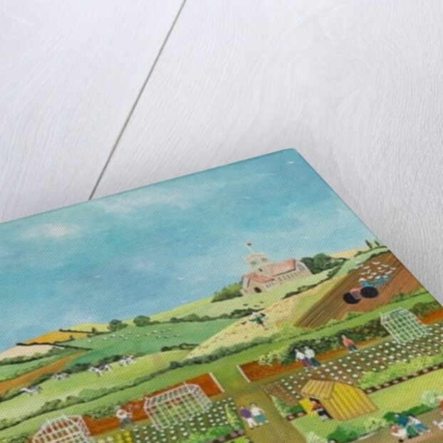 Allotments, 2012 by Judy Joel