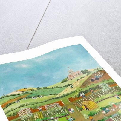 Allotments, 2012 by Judy Joel