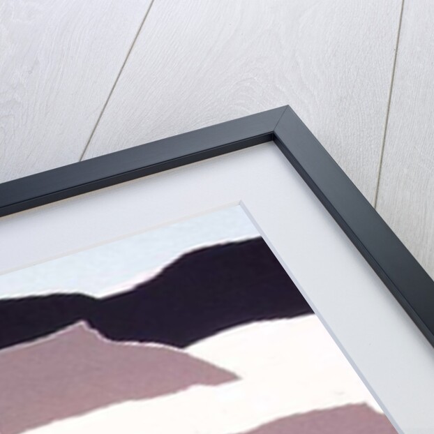 Oystercatcher by John Wallington