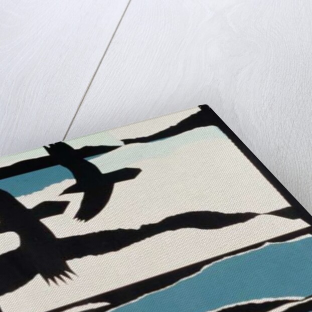 Ravens by John Wallington