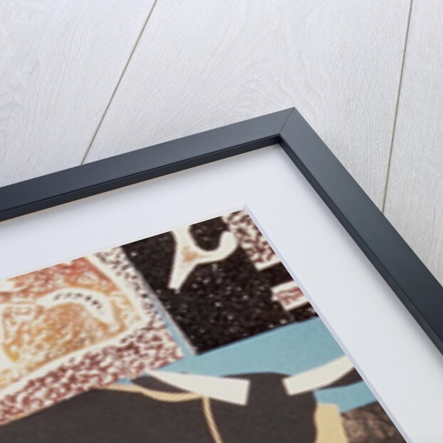 Aberdeen Angus Bull by John Wallington