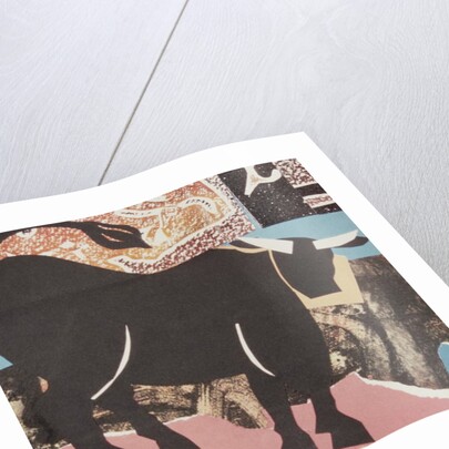 Aberdeen Angus Bull by John Wallington