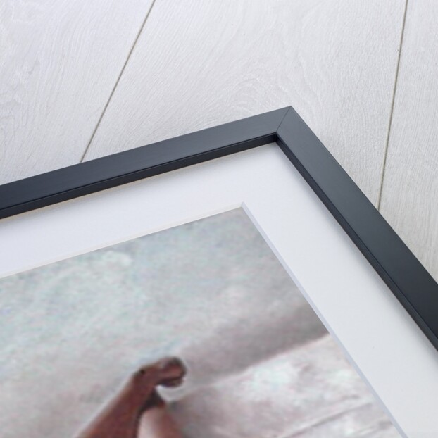 Dappled and Drowsy by John Worthington