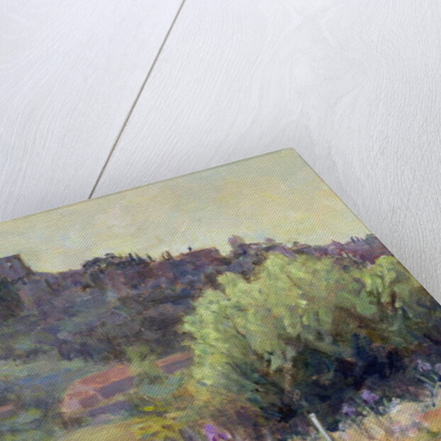 Vaison La Romaine, Vaucluse by Karen Armitage