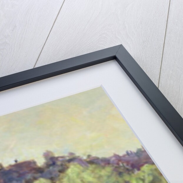 Vaison La Romaine, Vaucluse by Karen Armitage