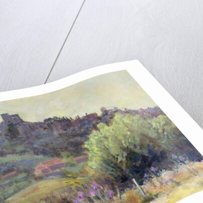 Vaison La Romaine, Vaucluse by Karen Armitage