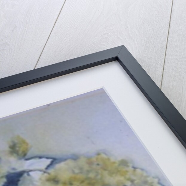 Hydrangea Particulata by Karen Armitage