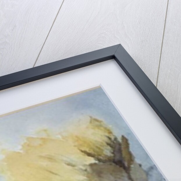 South Africa Protea by Karen Armitage