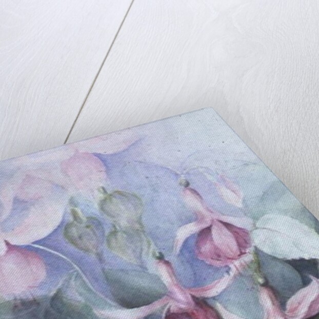 Fuschia, pink coachman by Karen Armitage