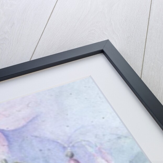 Fuschia, pink coachman by Karen Armitage