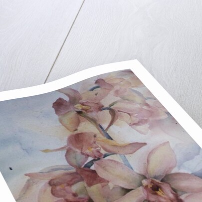 Orchid Cymbidium Ramley by Karen Armitage