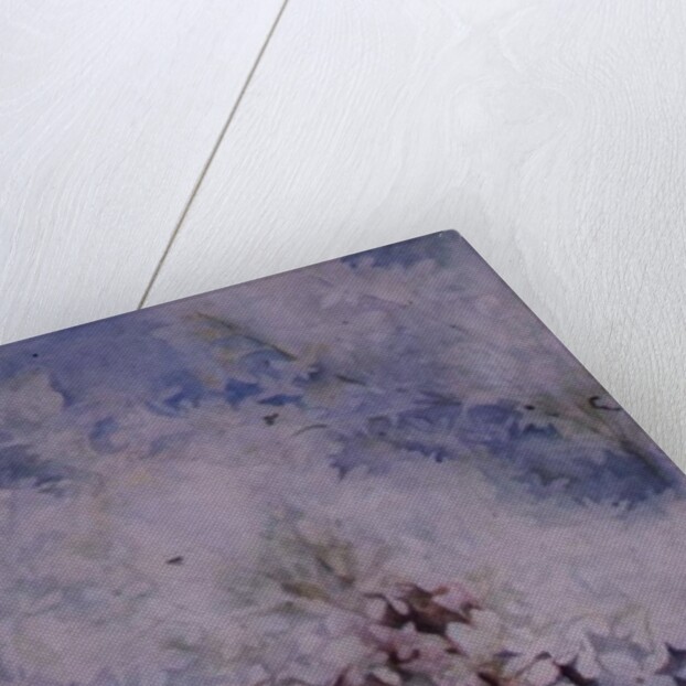 Lilac, Maud Norcut by Karen Armitage