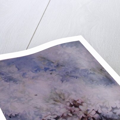 Lilac, Maud Norcut by Karen Armitage