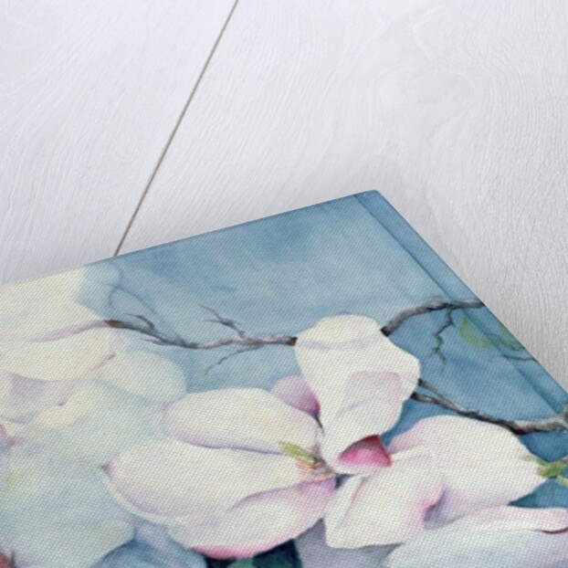 Magnolia Soulangeana (horizontal) by Karen Armitage