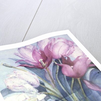 Pink Parrot Tulips and Marlette by Karen Armitage