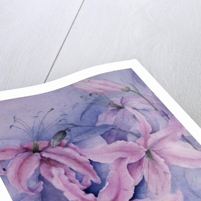Lilies, pink Auratum by Karen Armitage