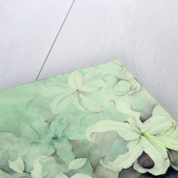 Lilies, white Auratum by Karen Armitage