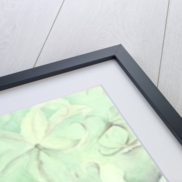 Lilies, white Auratum by Karen Armitage