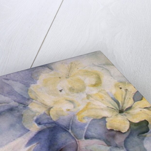 Lilium, Hearts Desire and Imperiale by Karen Armitage