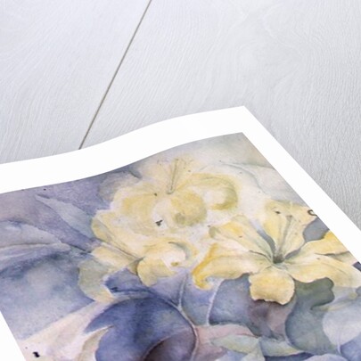 Lilium, Hearts Desire and Imperiale by Karen Armitage