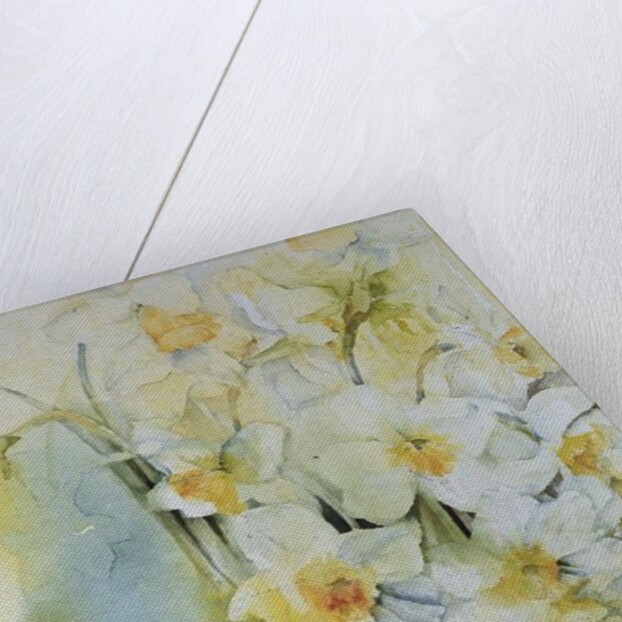 Narcissi and freesia by Karen Armitage