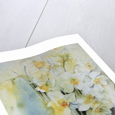 Narcissi and freesia by Karen Armitage