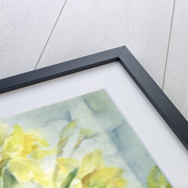 Daffodils, Uncle Remis and Ice Follies by Karen Armitage