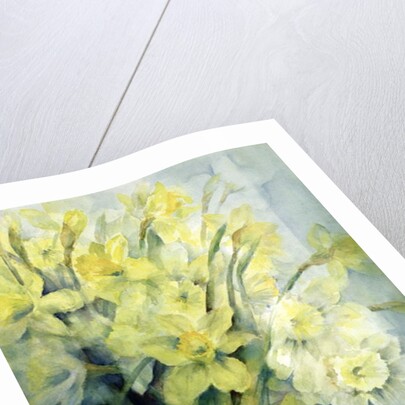 Daffodils, Uncle Remis and Ice Follies by Karen Armitage