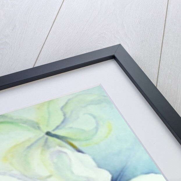 Lilium, Imperial Gold by Karen Armitage