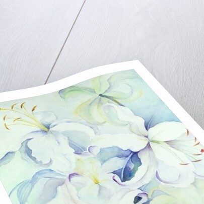 Lilium, Imperial Gold by Karen Armitage