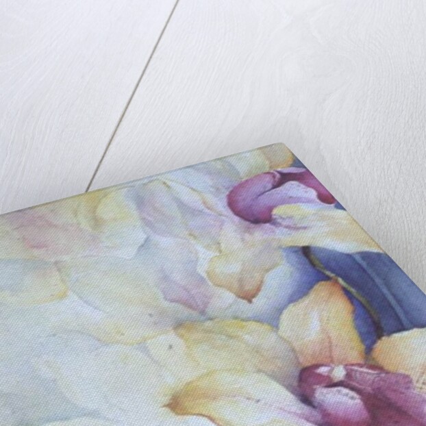 Orchid, Cymbidium, Prince Charles by Karen Armitage