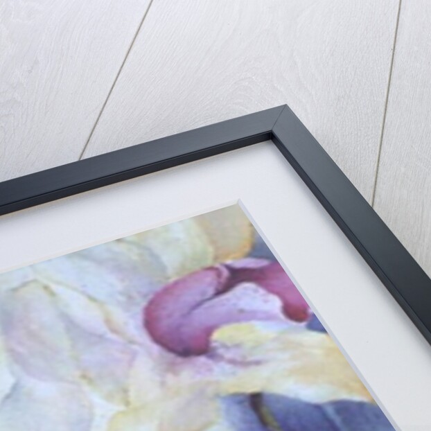 Orchid, Cymbidium, Prince Charles by Karen Armitage