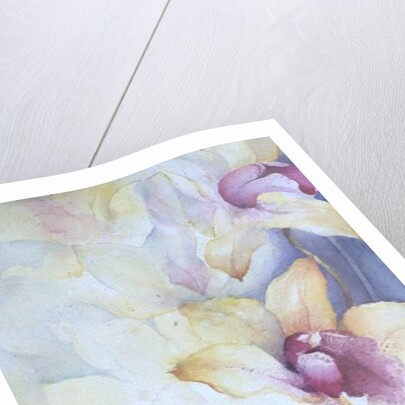 Orchid, Cymbidium, Prince Charles by Karen Armitage