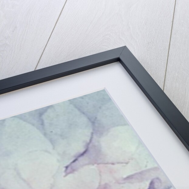 Pink Cyclamen, Victoria by Karen Armitage