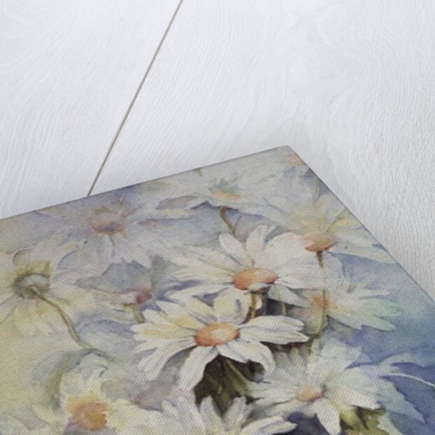 Chrysanthemum, Snowcap by Karen Armitage