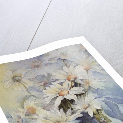 Chrysanthemum, Snowcap by Karen Armitage