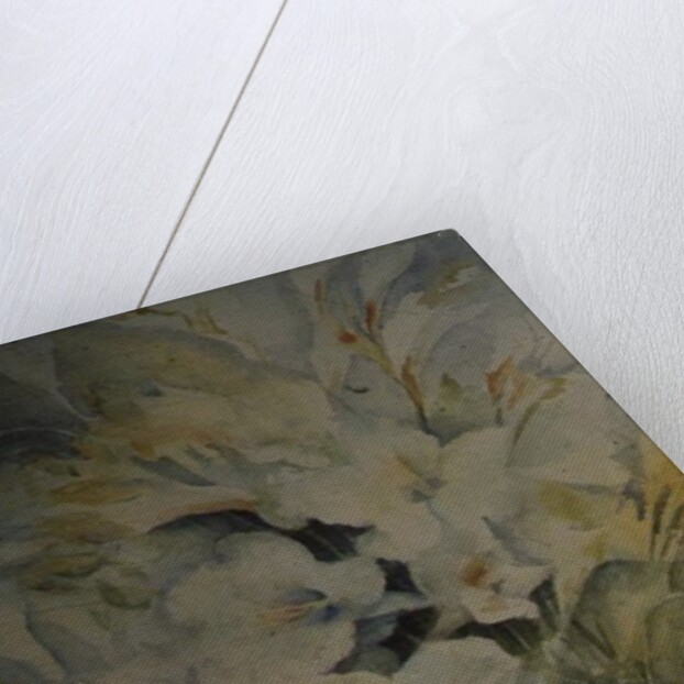 Freesia, Aurora and Ballerina in a White Jug by Karen Armitage