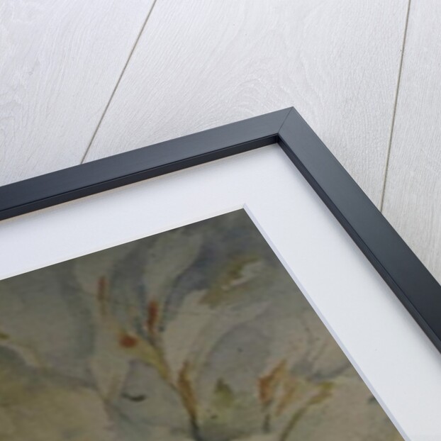 Freesia, Aurora and Ballerina in a White Jug by Karen Armitage