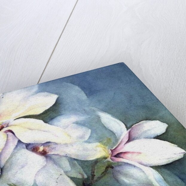 Magnolia Dedudata by Karen Armitage