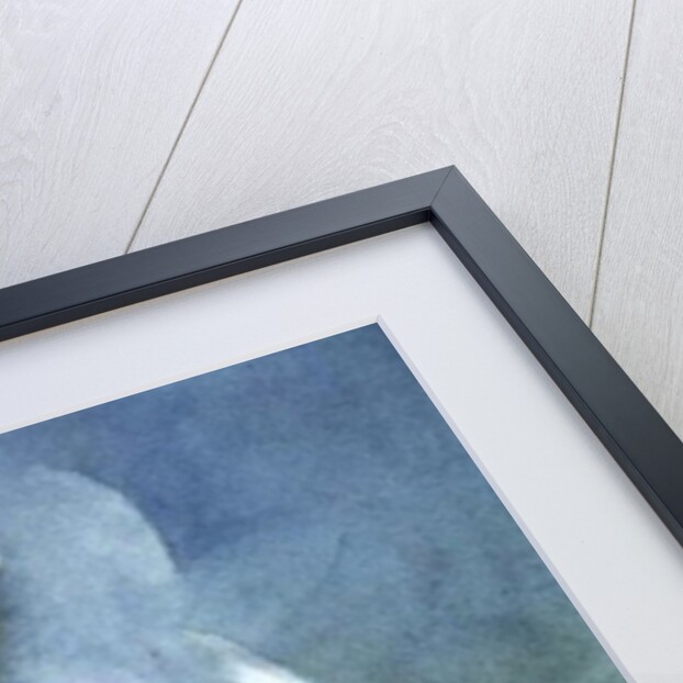 Magnolia Dedudata by Karen Armitage