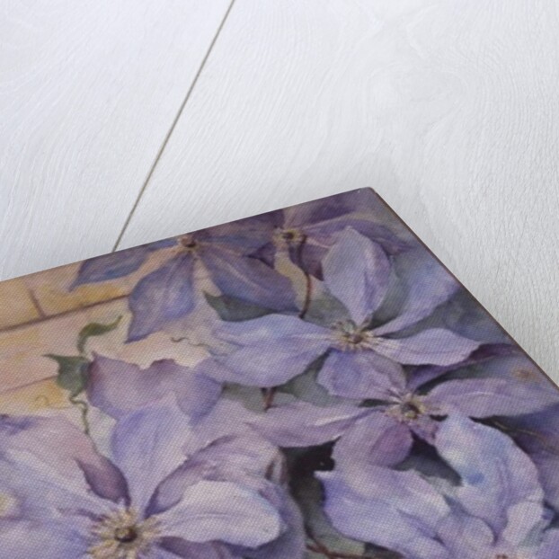 Clematis, The President by Karen Armitage