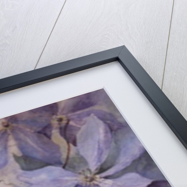 Clematis, The President by Karen Armitage