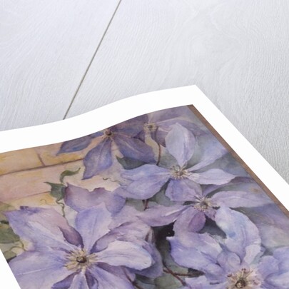 Clematis, The President by Karen Armitage