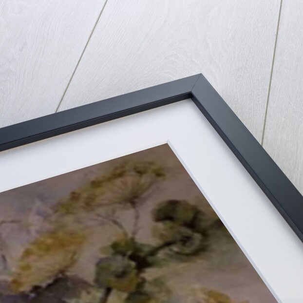 Agapanthus Molucela arrangement in a glass vase by Karen Armitage