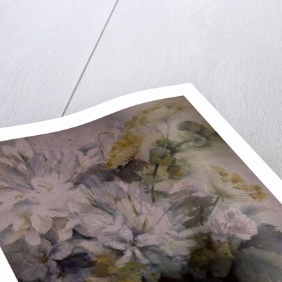 Agapanthus Molucela arrangement in a glass vase by Karen Armitage