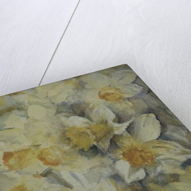 Spring Time, mixed daffodils in tank No 3., Mrs Krelage, Ice Follies and Fortune by Karen Armitage