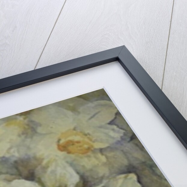 Spring Time, mixed daffodils in tank No 3., Mrs Krelage, Ice Follies and Fortune by Karen Armitage