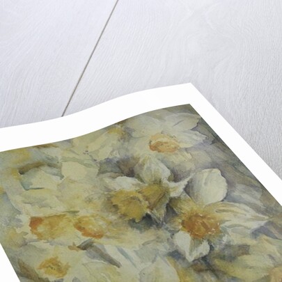 Spring Time, mixed daffodils in tank No 3., Mrs Krelage, Ice Follies and Fortune by Karen Armitage